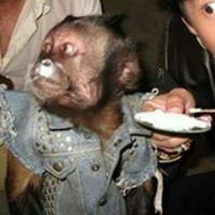 Dani (CircusBandits)