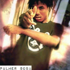 palmer-sosa