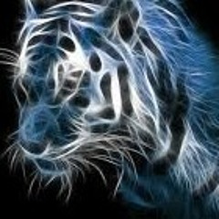 User 340318441