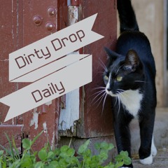 Dirty Drop Daily