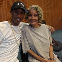 The Jungle Alligator