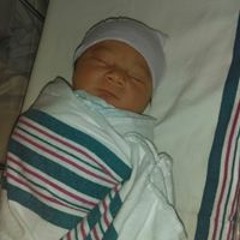 LamborghiniMercy Watson