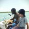 Music Feed