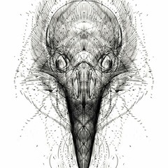 𝕄𝕄 - 𝕄𝕆𝕋𝕋