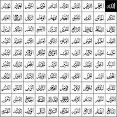 Syed Abdul Razaq