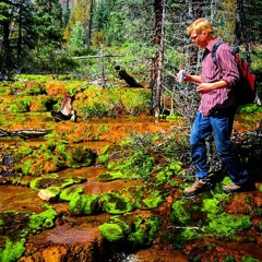 Thomas Andrew Clemens