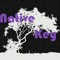 Native key