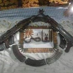 Tarek Adel Al Kady