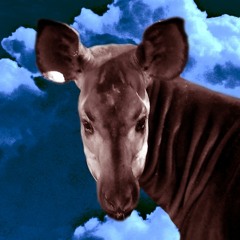 Papi oKapi