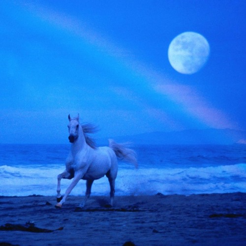 Ride ThaT Pony’s avatar