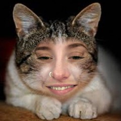 FemCampbell