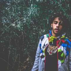 TrizzillBangin (Songs)