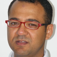 Amir Lutfi