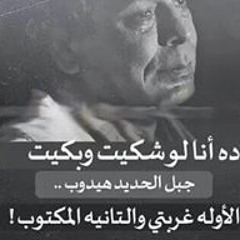 Amr Abdullah