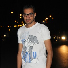 Mohamed Emad Elhenawy