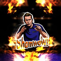 Bitches Go ShamWow | Billy Mays Diss