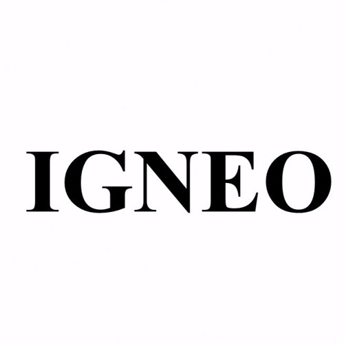 Igneo’s avatar