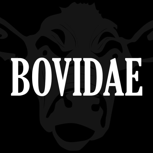 Bovidae’s avatar