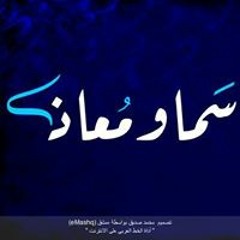 Muhammad Sedeek Nasr