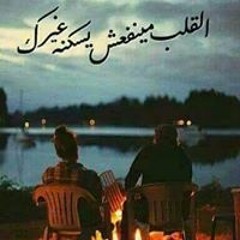 Hussien Ahmed H