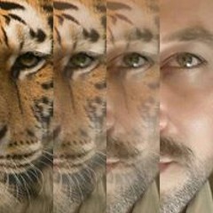 حاتم توفيق حلاوة