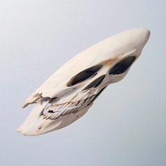 Travis Kepschull