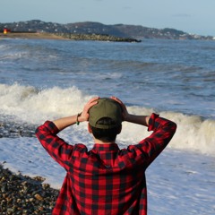 Luis Montesinos Medina