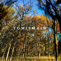 TomIsMain