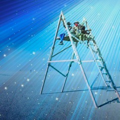 SammyWeb