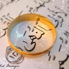 Noha EL AShry