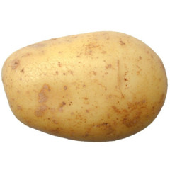 Jolnator