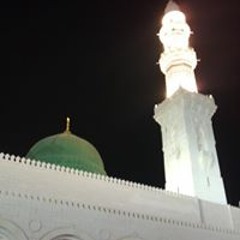 محمد علي شعبان