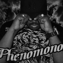 Phenomononmixes