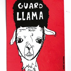 Guard Llama