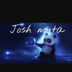 josh Gaming