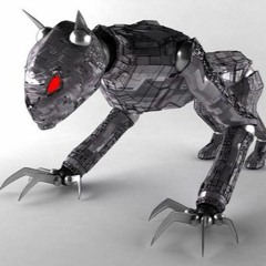RoboKitten81