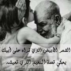 Mayar Adel