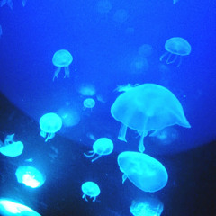 Altti Huttunen