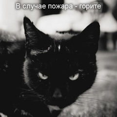Александр Ковалёв