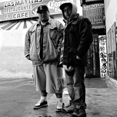 TARE DISCIPLINA RECS