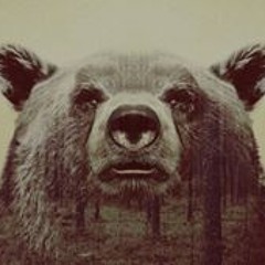 bearsoul