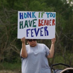 BeeverFever