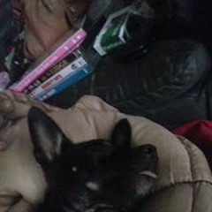 Leanne Salzbrenner-abiley