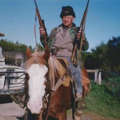 highhorse