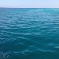 عبدالرحمن عبدالله حسن