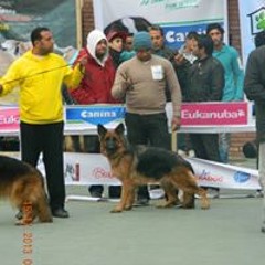 Mahmoud Elsharkawy