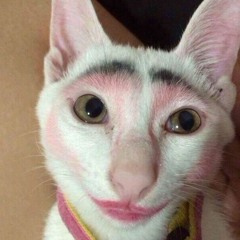 Võ Lãi