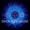 Black Light Secret