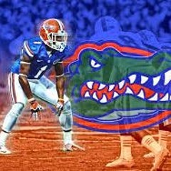 Gator_fan1