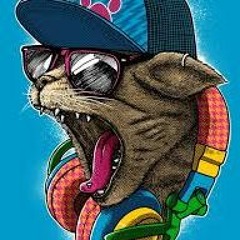 Mr.Magnificant